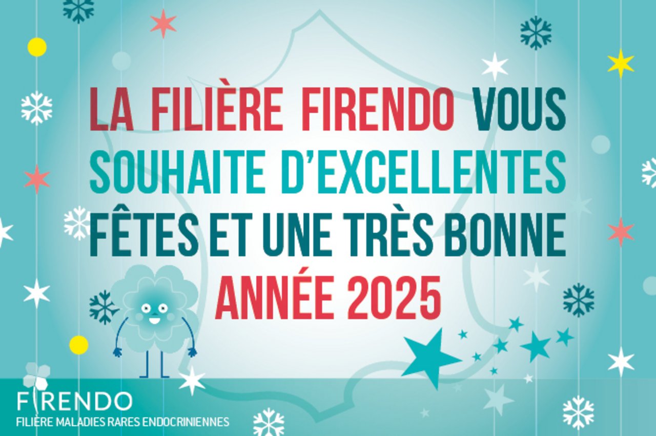 Animation GIF autour du message "« La filière maladies rares FIRENDO vous souhaite d’excellentes fêtes et une très bonne année 2025 »