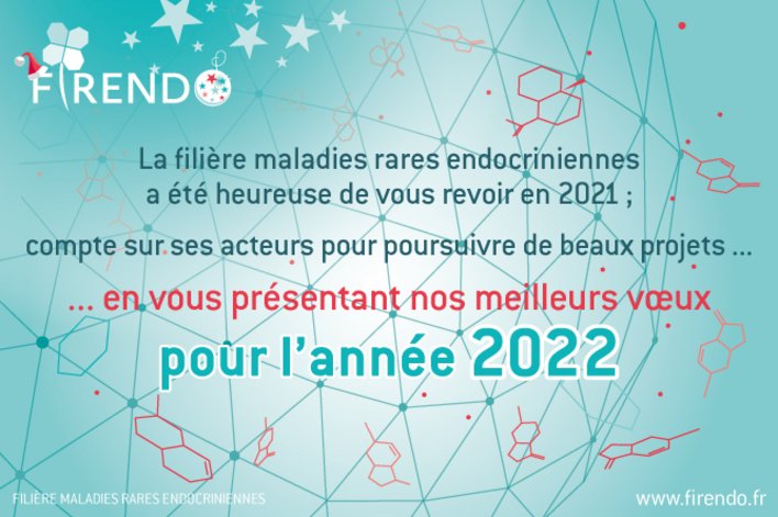 Visuel des voeux 2022 de la filière FIRENDO avec le message "La filière FIRENDO a été heureuse de vous revoir en 2021, compte sur ces acteurs pour poursuivre des beaux projets en vous présentant nos meilleurs voeux pour l'année 2022"