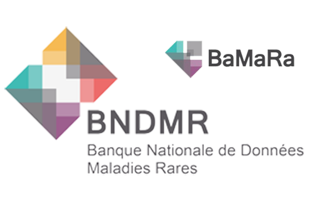 Logo BaMaRa/BNDMR